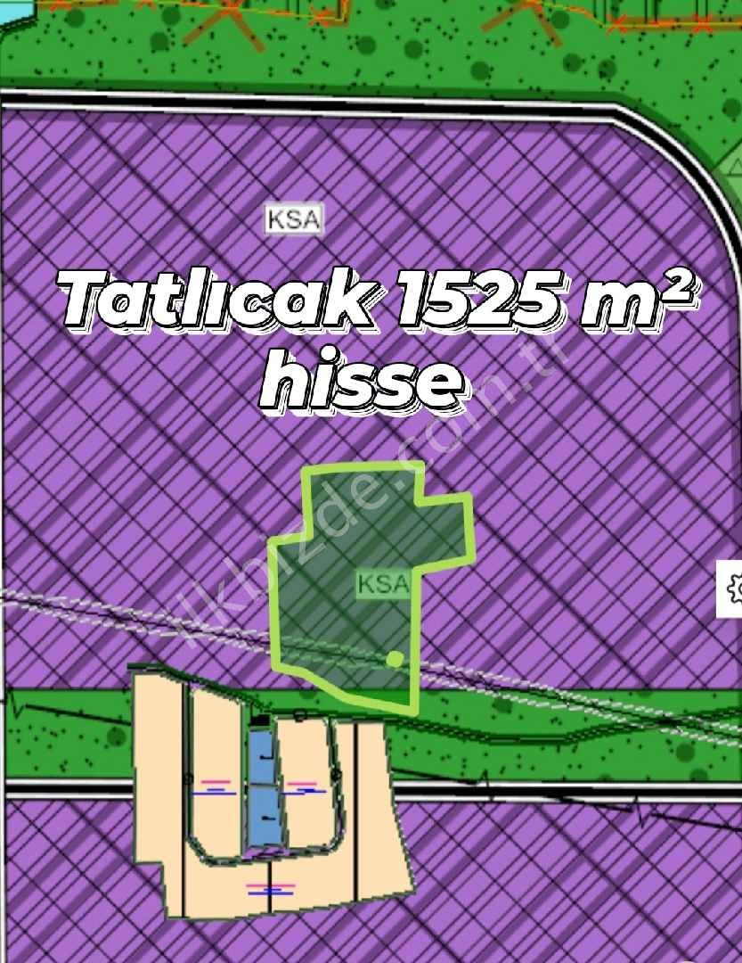 TATLIÇAKTA YATIRILIK HİSSE