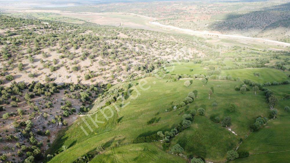 1.361 m2 BARAJ VE ORMAN MANZARALI MÜSTAKİL TARLA