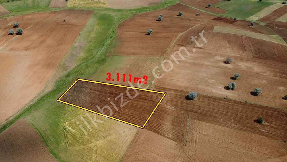 BEYŞEHİR / YENİDOĞAN'DA 3.111 m² MÜSTAKİL TAPULU ARAZİ