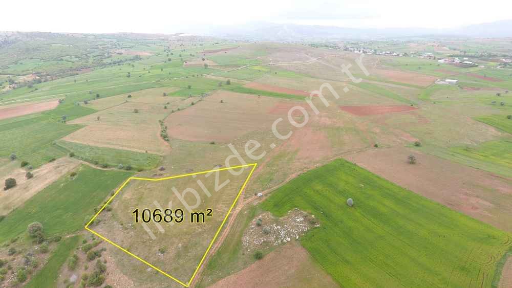 KONYA DERBENT'TE 10.689 m² MÜSTAKİL TAPULU TARLA
