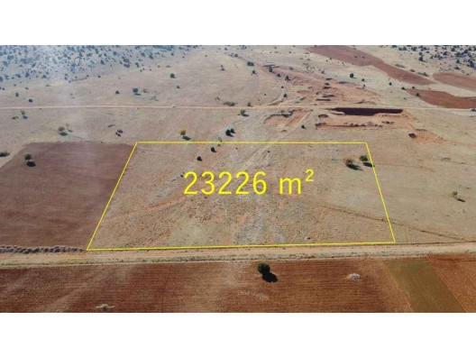 KONYA AKÖREN AĞALARDA 23.226 M² TEK TAPULU ARAZİ