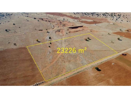 KONYA AKÖREN AĞALARDA 23.226 M² TEK TAPULU ARAZİ