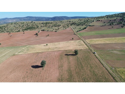 AKÖREN ALANDA 8.519 m² MERA YAKINI TARLA