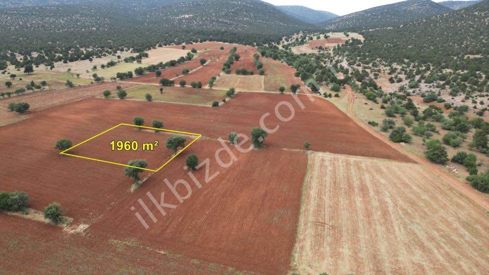 KONYA / AKÖREN / KARAHÜYÜK DE 1.960 m² FIRSAT TARLA