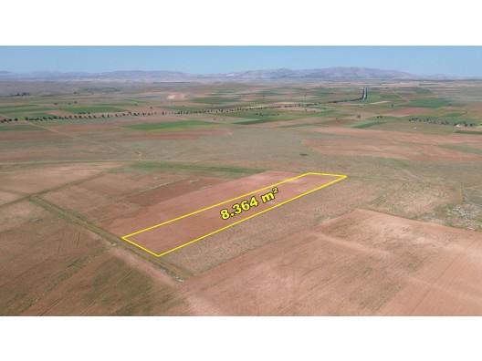 KONYA / AKÖREN / ORHANİYE TARLA 8.364m²