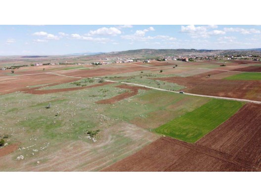 KONYA / AKÖREN / TÜLCE 4.296 m² MÜSTAKİL TAPULU KONUMU GÜZEL TARLA