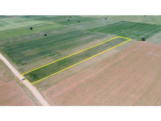 AKÖREN HACILAR DA 4.788 m² KONUMU GÜZEL TARLA