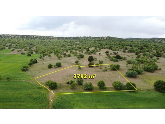 KONYA / MERAM / KİLİSTRA ORMANA CEPHE 3.792 m² MÜSTAKİL TAPU TARLA