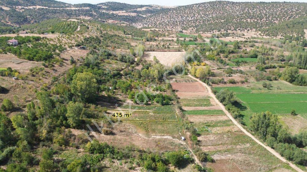 KONYA / ILGIN / GÖKÇEYURT-GÜMÜŞ 435 m² BAHÇELİK İÇİN HARİKA BİR MÜSTAKİL TARLA