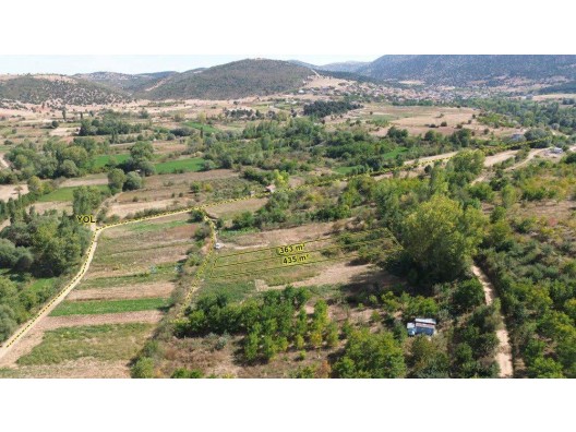 KONYA / ILGIN / GÖKÇEYURT-GÜMÜŞ 435 m² BAHÇELİK İÇİN HARİKA BİR MÜSTAKİL TARLA