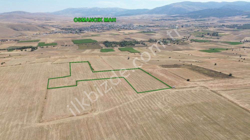 KONYA / KADINHANI / OSMANCIK'DA 17.900 m² MÜSTAKİL FIRSAT TARLA