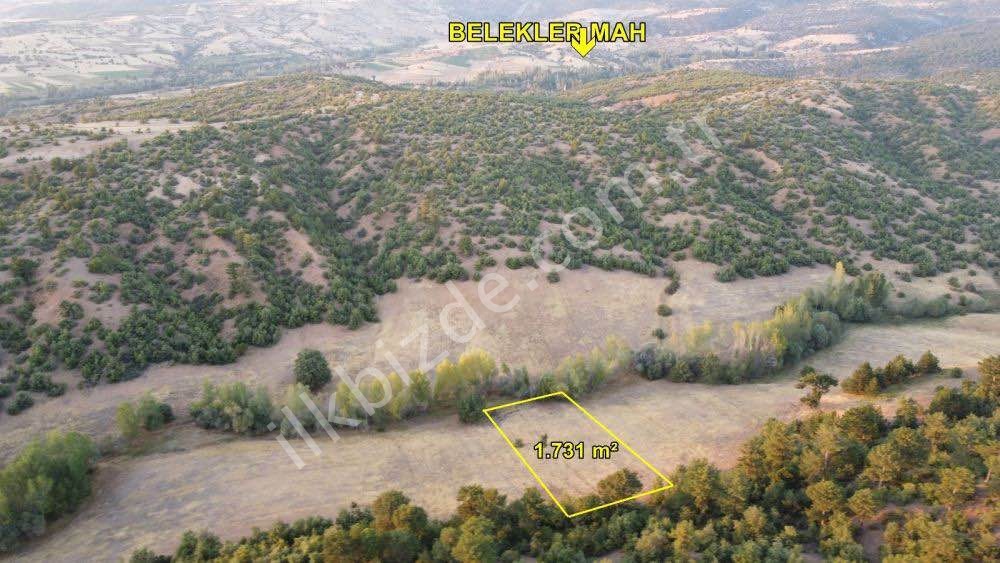 KONYA / ILGIN / BELEKLER'DE 1.731 m² TEK TAPU TARLA