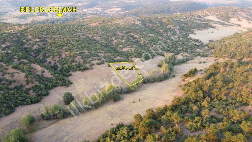 KONYA / ILGIN / BELEKLER'DE ORMANA CEPHE MÜSTAKİL 2.096 m² TARLA
