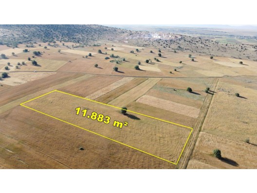 KONYA'DA HESAPLI YATIRIM'DAN 11.883 m² MÜSTAKİL TARIM ARAZİSİ