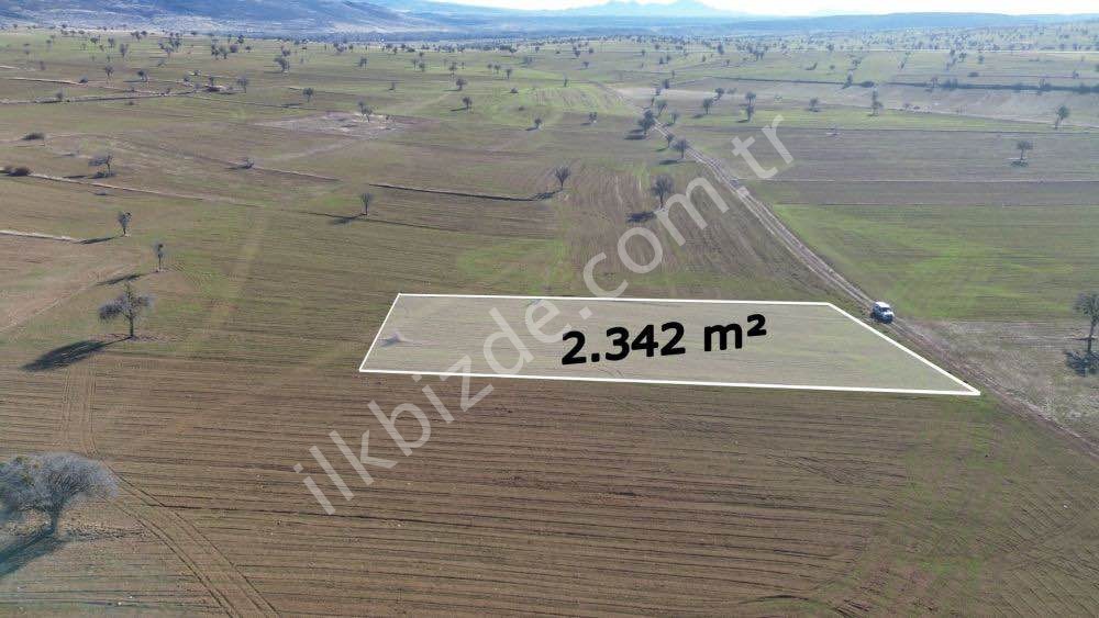 BEYŞEHİR YENİDOĞAN DA SATILIK TARLA