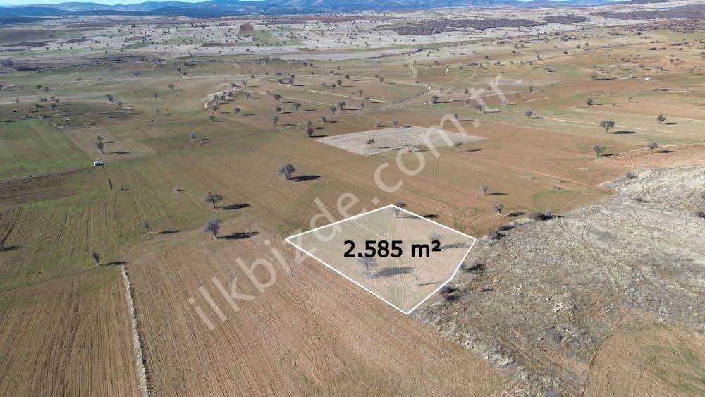 2.585 m² / KONYA / BEYŞEHİR / YENİDOĞAN / TARLA