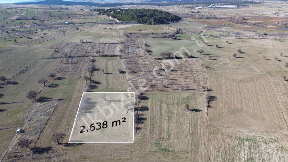 2.638 m² / KONYA / BEYŞEHİR / YENİDOĞAN / TARLA