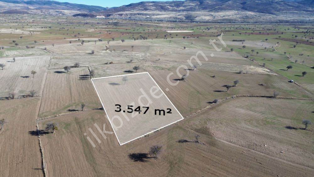3.547 m² / KONYA / BEYŞEHİR / YENİDOĞAN / TARLA
