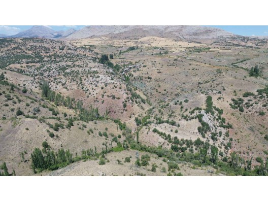 KARAMAN / MERKEZ / BAŞKIŞLA DA 1.759 m² MÜSTAKL BAĞ