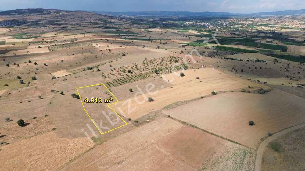 DERBENT SARAYPINAR DA 4.813 M2 MÜSTAKİL TAPULU TARLA
