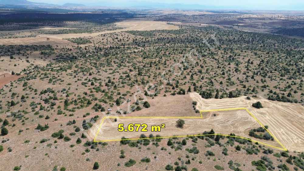 BEYŞEHİR YENİDOĞAN-YENİCEDE 5.672 M2 MÜSTAKİL TAPULU TARLA
