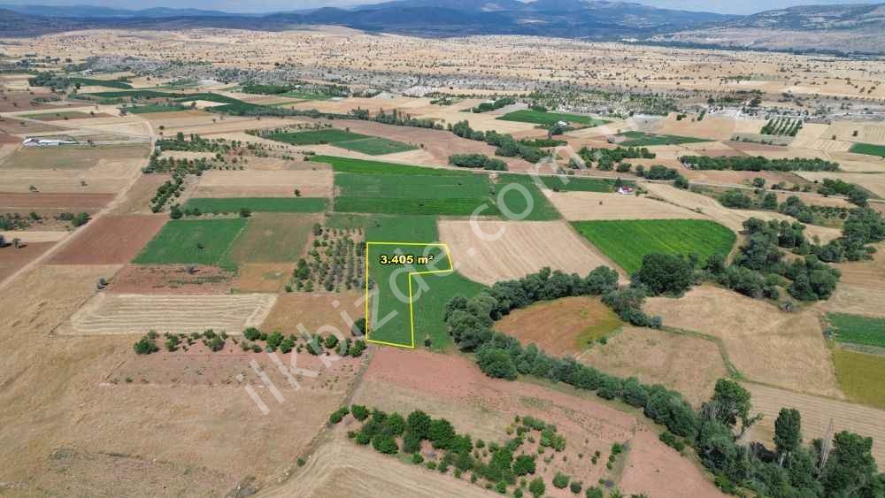 BEYŞEHİR YENİDOĞAN-YÜKSEKDE 3.405 M2 MÜSTAKİL TAPULU TARLA