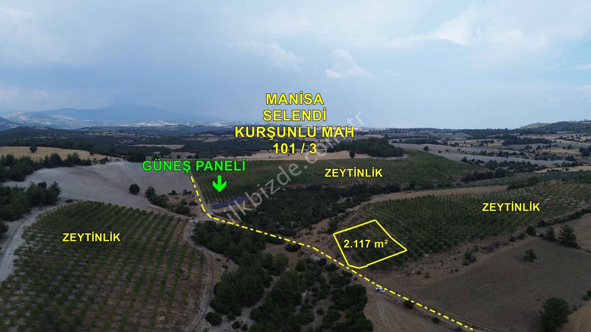 ZEYTİNLİK MANİSA SELENDİ KURŞUNLU MAH. 2.117 M2 MÜSTAKİL TAPULU