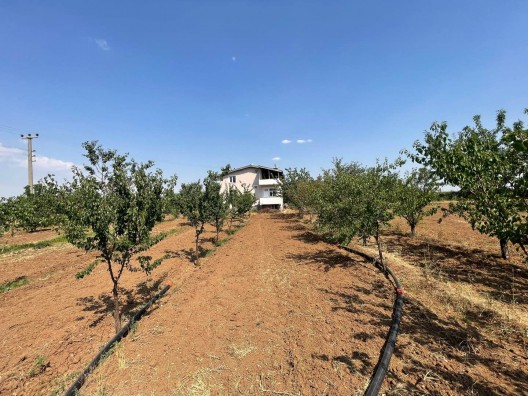 KARAHÜYÜKTE MÜSTAKİL EV 4424 m2