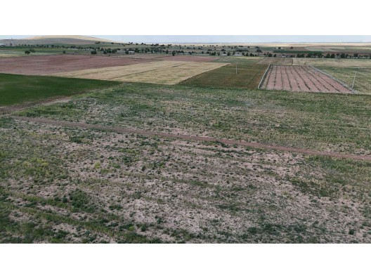 ÇUMRA AVDUL DA 3.904 M2 MÜSTAKİL TAPULU TARLA