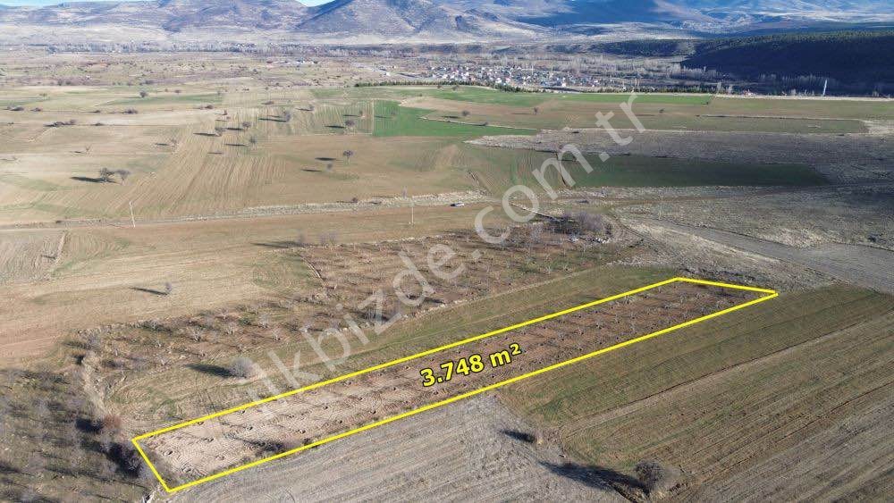 BEYŞEHİR YENİDOĞAN DA 3.748 M2 MÜSTAKİL TAPULU MEYVE AĞAÇLIĞI