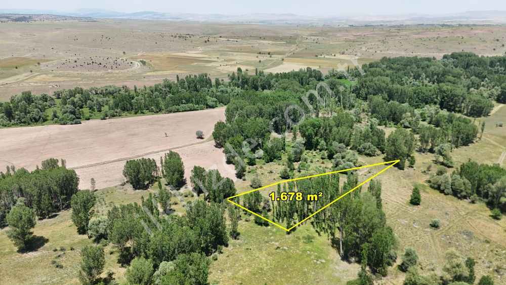 AKÖREN TÜLCE DE 1.678 M2 MÜSTAKİL TAPULU KAVAKLIK