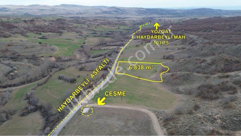 6.838 m² / YOZGAT / MERKEZ / HAYDARBEYLİ / TARLA