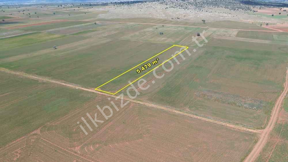 AKÖREN HACILAR DA 5.479 M2 MÜSTAKİL TAPULU TARLA