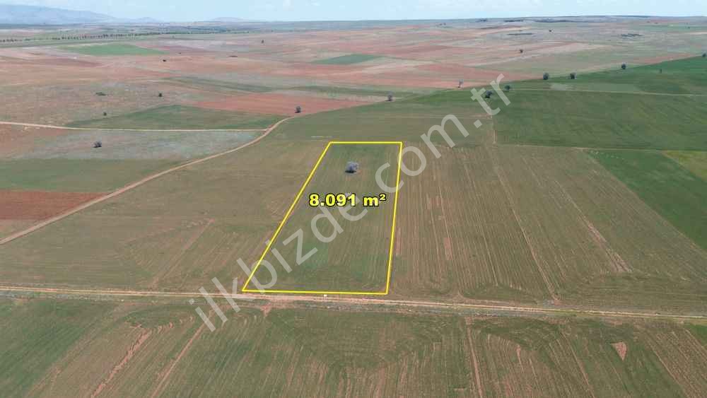 AKÖREN HACILAR DA 8.091 M2 MÜSTAKİL TAPULU TARLA