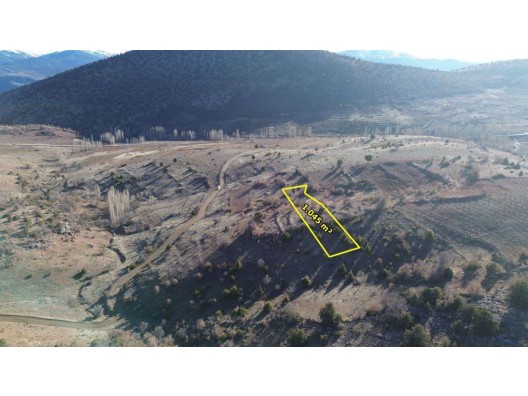 HADİM AŞAĞIEŞENLER DE 1.045 M2 MÜSTAKİL TAPULU BAĞ