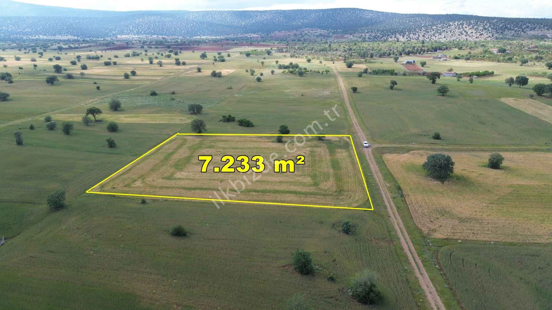 AKÖREN AĞALAR DA 7.233 M2 MÜSTAKİL TAPULU TARLA