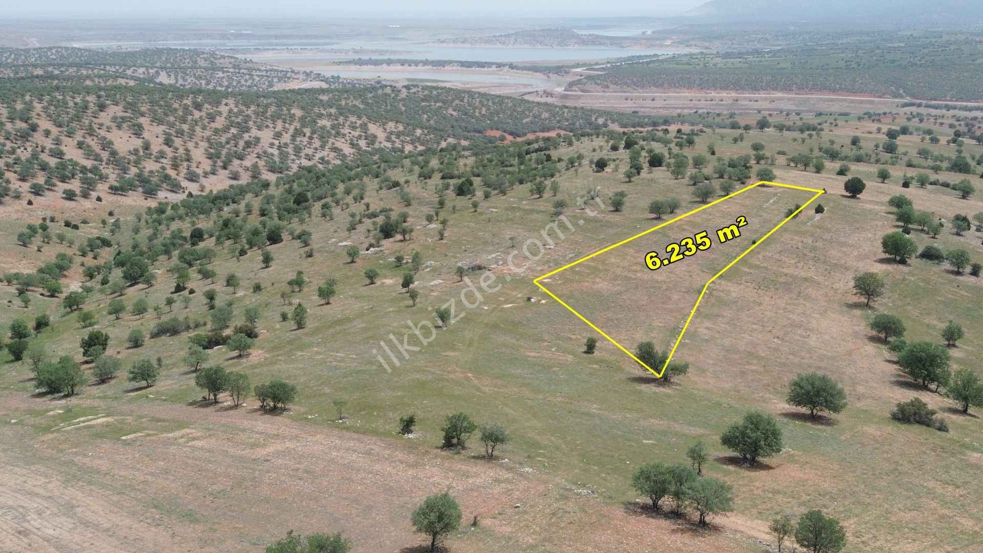 AKÖREN BELKUYU DA 6.235 M2 MÜSTAKİL TAPULU TARLA