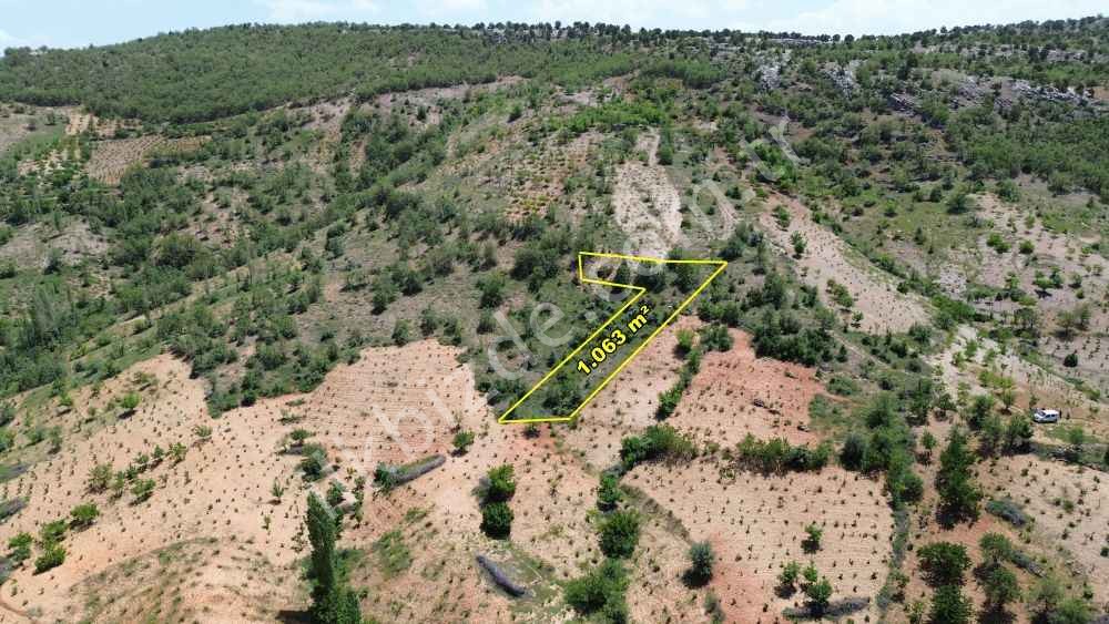 BOZKIR HAMZALAR DA 1.063 M2 MÜSTAKİL TAPULU BAĞ