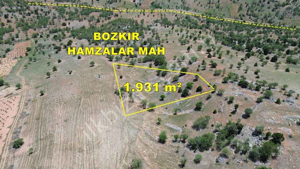 BOZKIR HAMZALARDA 1.931 M2 MÜSTAKİL TAPULU BAĞ