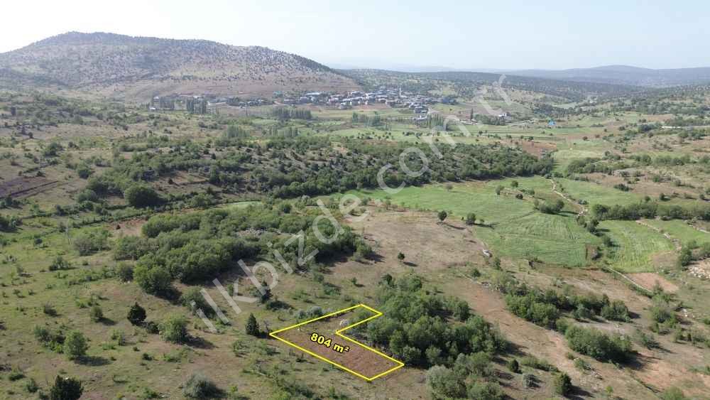 BOZKIR KINIK DA 804 M2 MÜSTAKİL TAPULU BAĞ