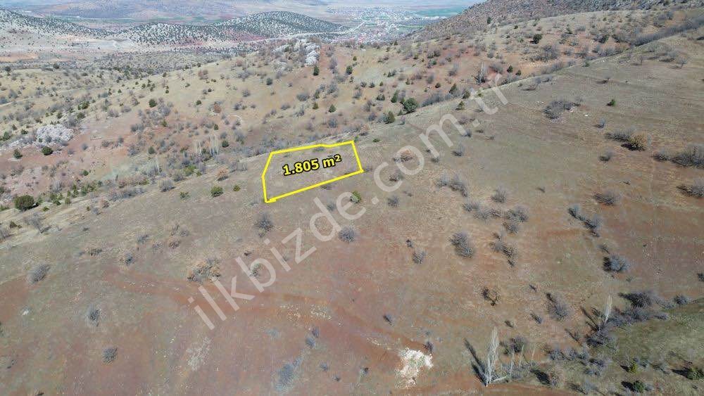 GÜNEYSINIR GÜRAĞAÇ DA 1.805 M2 MÜSTAKİL TAPULU BAĞ