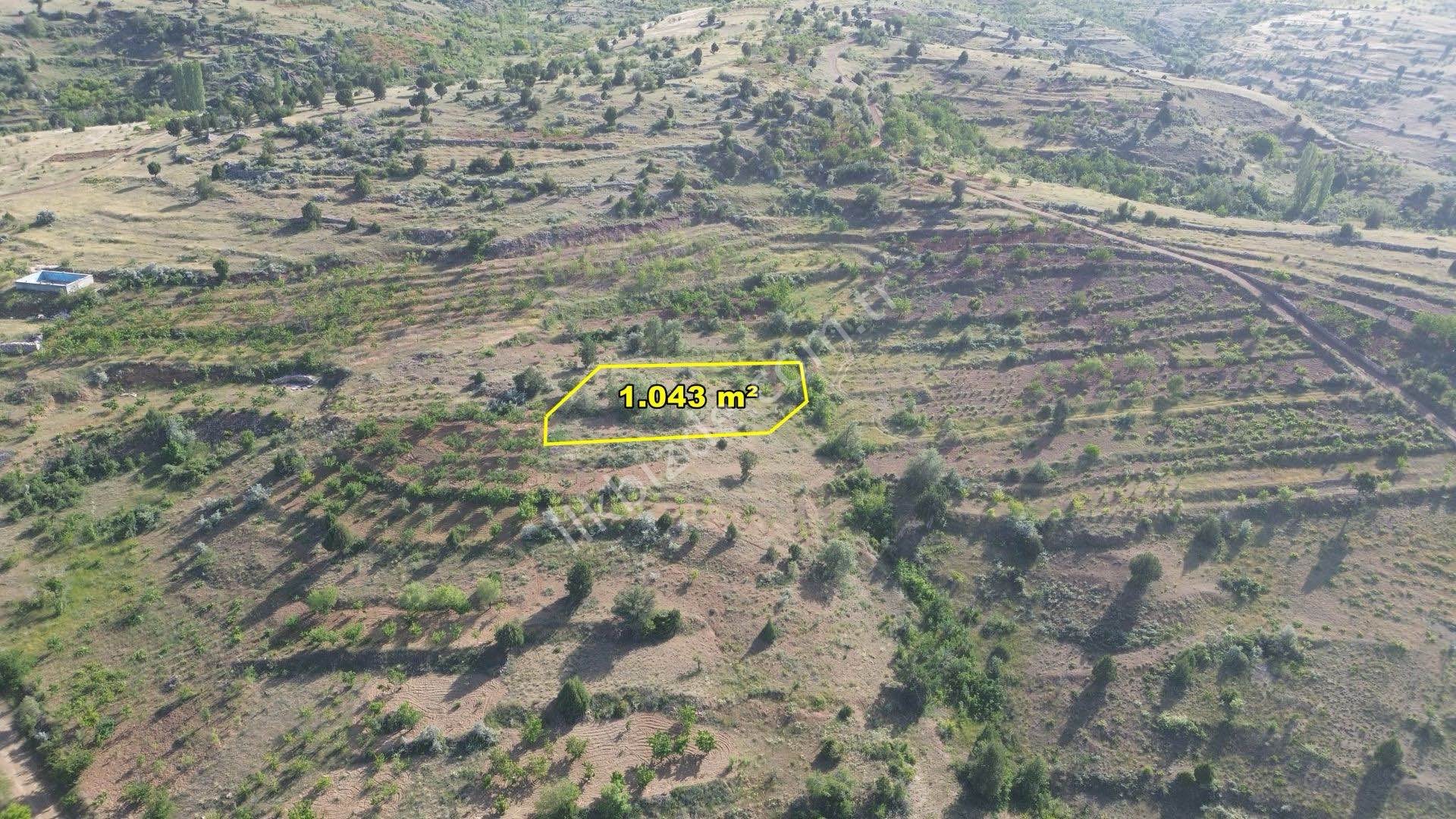 BOZKIR HACILAR DA 1.043 M2 MÜSTAKİL TAPULU BAHÇE