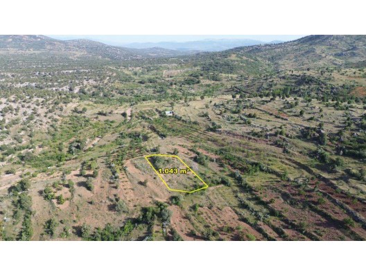 BOZKIR HACILAR DA 1.043 M2 MÜSTAKİL TAPULU BAHÇE