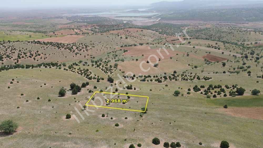 AKÖREN BELKUYU DA 2.968 M2 MÜSTAKİL TAPULU TARLA