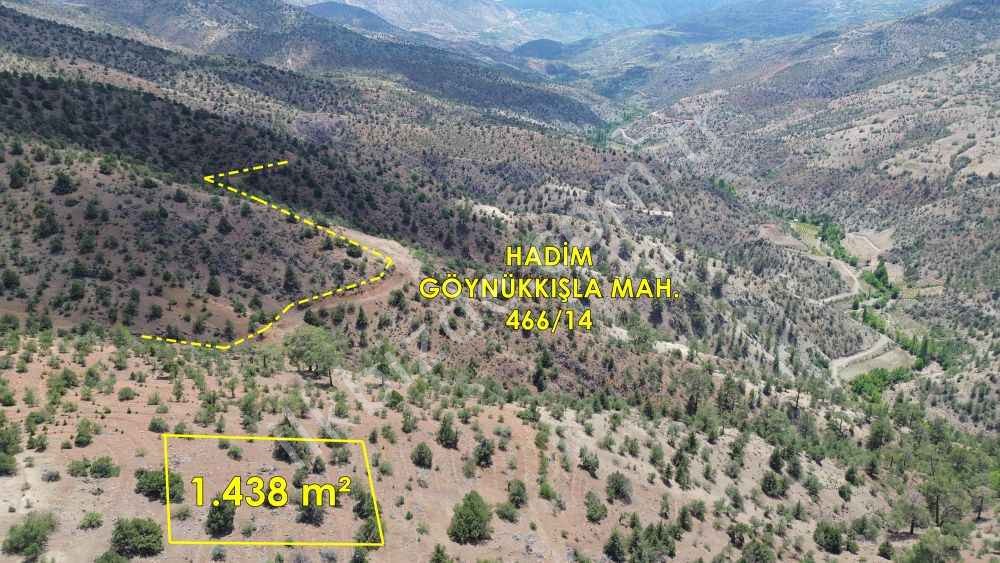 HADİM GÖYNÜKKIŞLA DA 1.438 M2 MÜSTAKİL TAPULU BAĞ