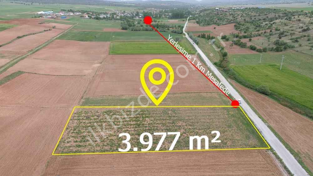GÜNEYSINIR AYDOĞMUŞDA 3.977 M2 MÜSTAKİL TAPULU ASFALT YOLA CEPHELİ TARLA