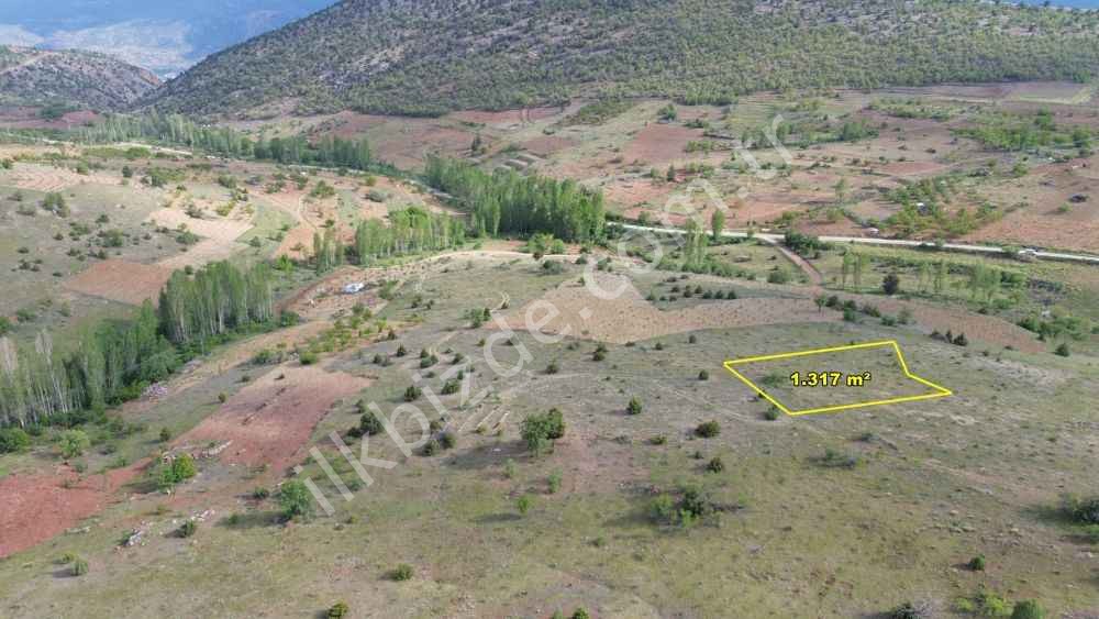 HADİM AŞAĞIEŞENLER DE 1.317 M2 MÜSTAKİL TAPULU BAĞ