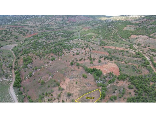 BOZKIR HAMZALARDA 602 M2 MÜSTAKİL TAPULU BAĞ