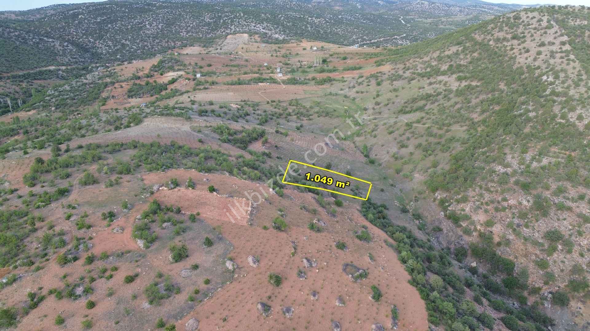 BOZKIR HAMZALARDA 1.049 M2 MÜSTAKİL TAPULU BAĞ