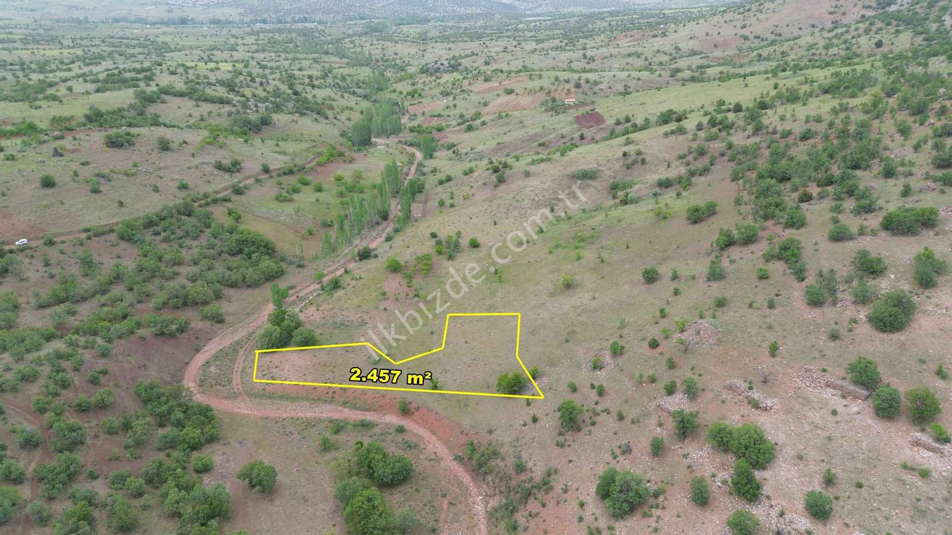 GÜNEYSINIR GÜRAĞAÇDA 2.272 M2 MÜSTAKİL TAPULU BAĞ